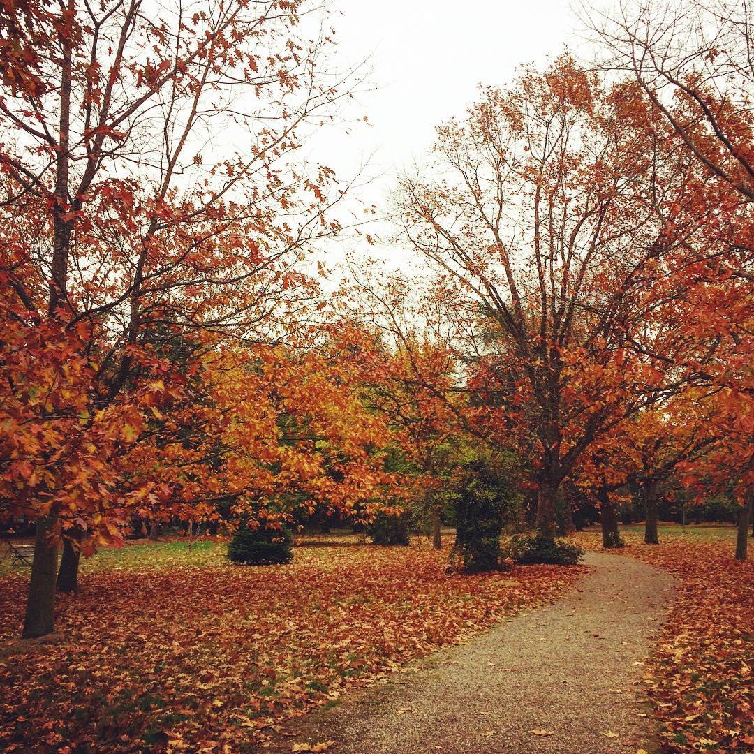 parc parilly automne