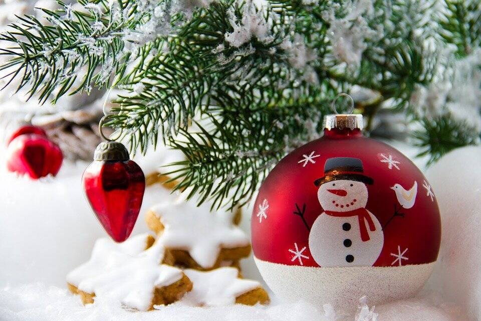 LES SAPINS AUTORISÉS À LA VENTE À PARTIR DU 20 NOVEMBRE !